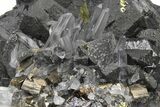Lustrous Chalcopyrite on Quartz, Sphalerite, and Pyrite - Peru #231531-1